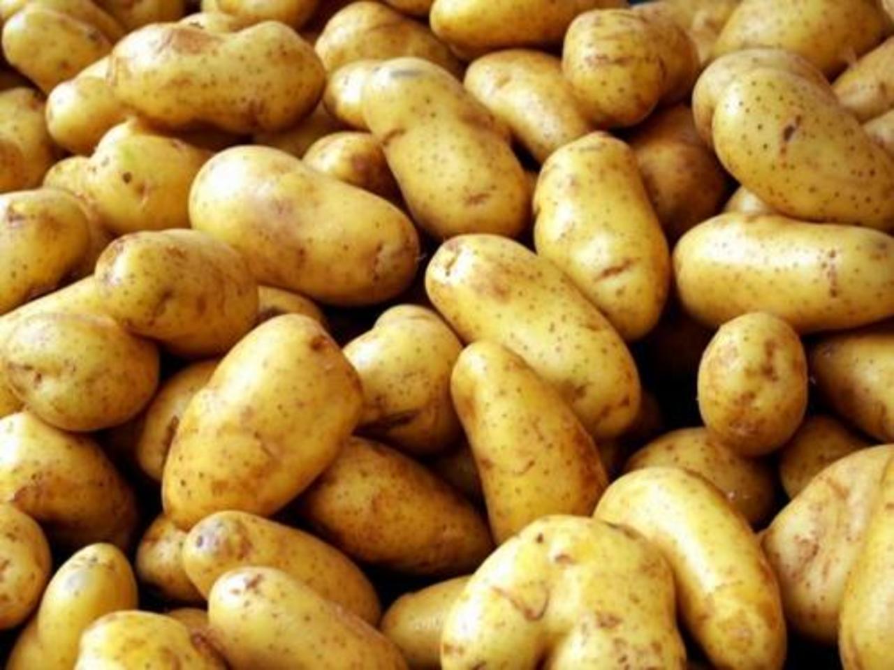 Как хранить картофель в квартире?